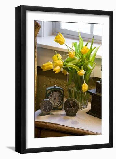 Yellow Tulips I-Philip Clayton-thompson-Framed Photographic Print