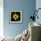 Yellow Tulips-Magda Indigo-Framed Photographic Print displayed on a wall