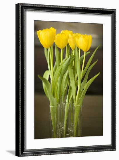 Yellow Tulips-Karyn Millet-Framed Photographic Print