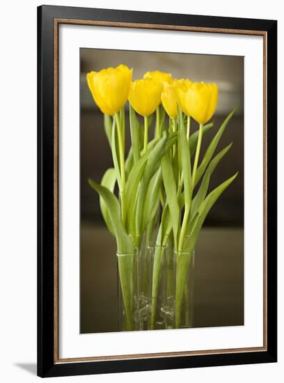 Yellow Tulips-Karyn Millet-Framed Photographic Print