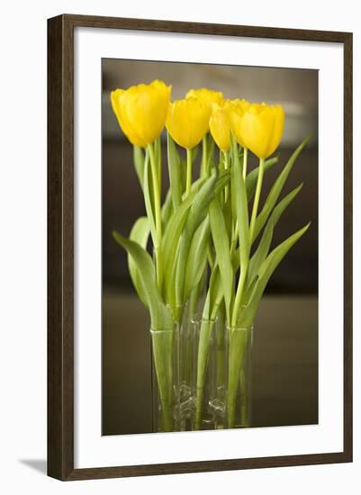 Yellow Tulips-Karyn Millet-Framed Photographic Print