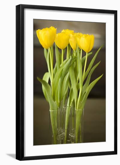 Yellow Tulips-Karyn Millet-Framed Photographic Print