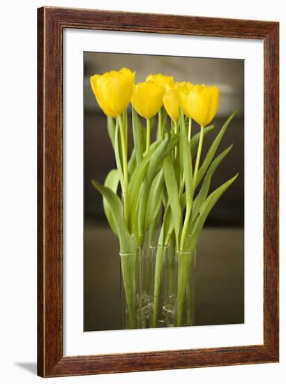 Yellow Tulips-Karyn Millet-Framed Photographic Print