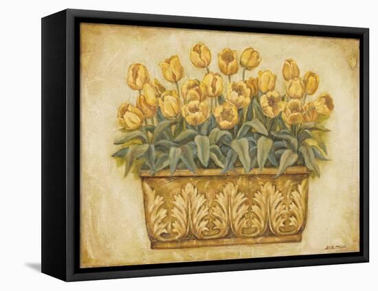 Yellow Tulips-Eva Misa-Framed Stretched Canvas