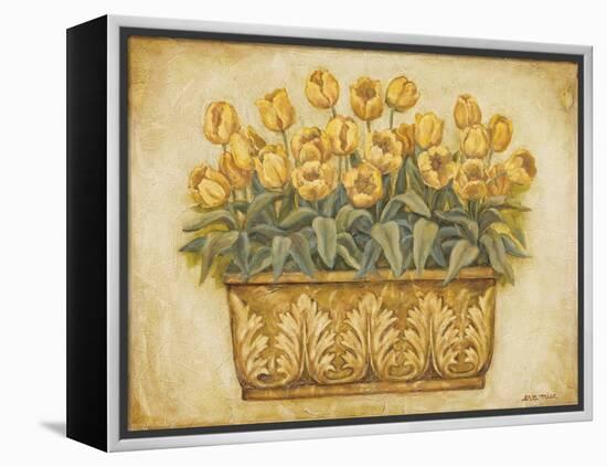 Yellow Tulips-Eva Misa-Framed Stretched Canvas