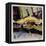 Yellow Umbrellas-Patti Mollica-Framed Premier Image Canvas