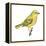 Yellow Warbler (Dendroica Petechia), Birds-Encyclopaedia Britannica-Framed Stretched Canvas