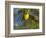 Yellow Warbler (Dendroica Petechia) Perched Singing, Washington, USA-Gary Luhm-Framed Photographic Print