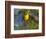 Yellow Warbler (Dendroica Petechia) Perched Singing, Washington, USA-Gary Luhm-Framed Photographic Print