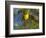 Yellow Warbler (Dendroica Petechia) Perched Singing, Washington, USA-Gary Luhm-Framed Photographic Print