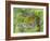 Yellow Warbler Male Building Nest,  Pt. Pelee National Park, Ontario, Canada-Arthur Morris-Framed Photographic Print