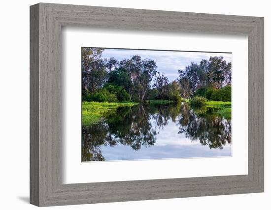 Yellow Water billabong and wetland, Kakadu National Park, UNESCO World Heritage Site, Northern Terr-Andrew Michael-Framed Photographic Print