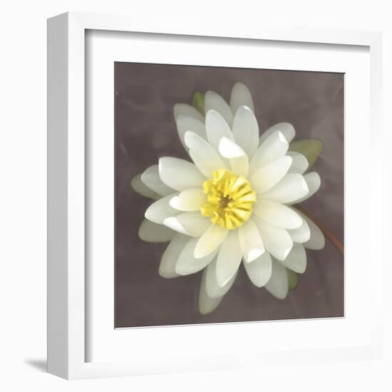 Yellow Water Lily-Erin Clark-Framed Giclee Print