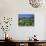 Yellow Waterlily, Welder Wildlife Refuge, Sinton, Texas, USA-Rolf Nussbaumer-Photographic Print displayed on a wall