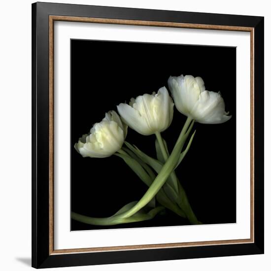 Yellow White Tulips 2-Magda Indigo-Framed Photographic Print