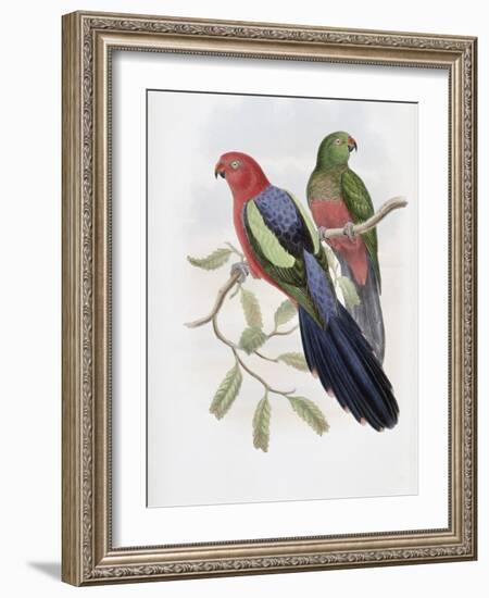 Yellow Winged King Parrot-John Gould-Framed Giclee Print