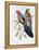 Yellow Winged King Parrot-John Gould-Framed Premier Image Canvas