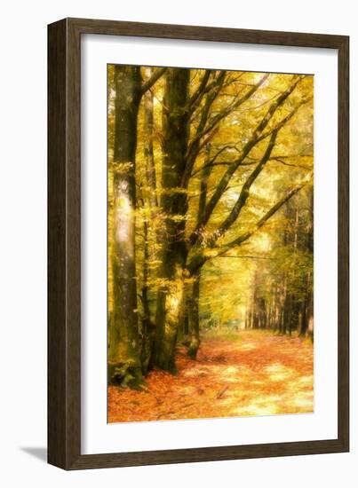 Yellow Wood-Philippe Sainte-Laudy-Framed Photographic Print