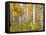 Yellow Woods IV-David Drost-Framed Premier Image Canvas