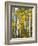 Yellow Woods V-David Drost-Framed Photographic Print