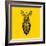 Yellow Zebra Mesh-Lisa Kroll-Framed Art Print