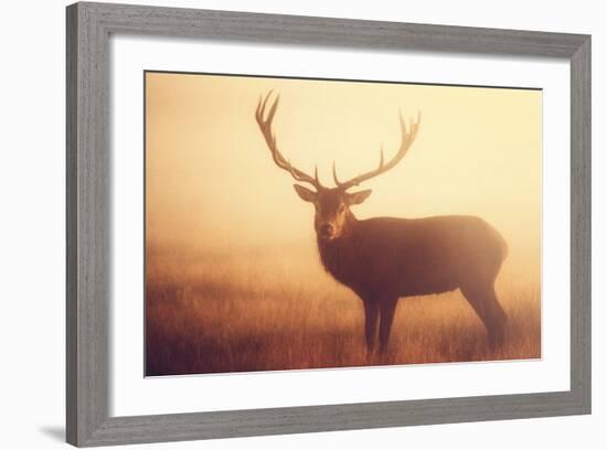 Yellow-Mark Bridger-Framed Art Print