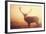 Yellow-Mark Bridger-Framed Art Print