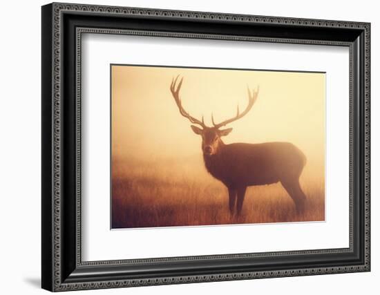 Yellow-Mark Bridger-Framed Giclee Print