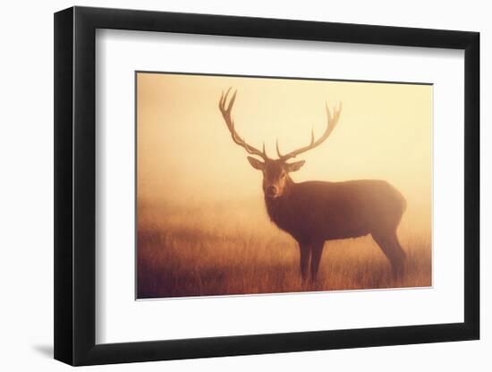 Yellow-Mark Bridger-Framed Giclee Print