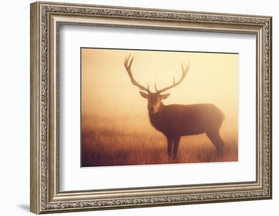 Yellow-Mark Bridger-Framed Art Print