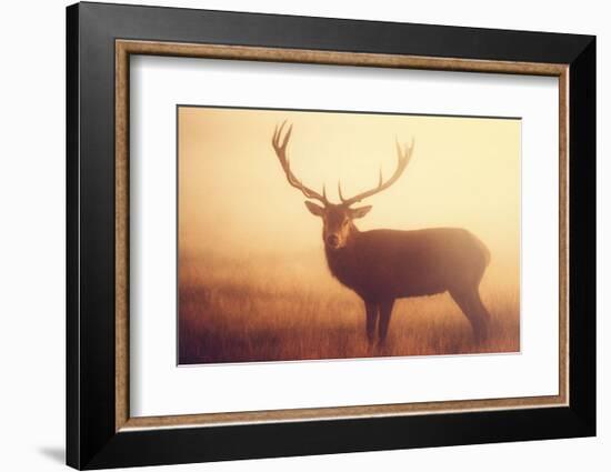 Yellow-Mark Bridger-Framed Art Print