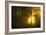 Yellow-Norbert Maier-Framed Art Print