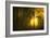 Yellow-Norbert Maier-Framed Art Print