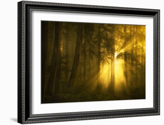 Yellow-Norbert Maier-Framed Art Print