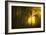 Yellow-Norbert Maier-Framed Art Print