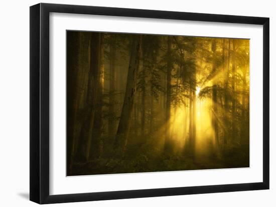 Yellow-Norbert Maier-Framed Art Print