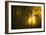 Yellow-Norbert Maier-Framed Art Print