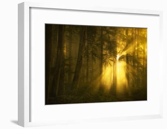 Yellow-Norbert Maier-Framed Art Print