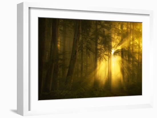 Yellow-Norbert Maier-Framed Art Print