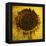 Yellow-Philippe Sainte-Laudy-Framed Premier Image Canvas