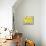 Yellow-Jill Mayberg-Mounted Premium Giclee Print displayed on a wall