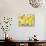 Yellow-Jill Mayberg-Giclee Print displayed on a wall