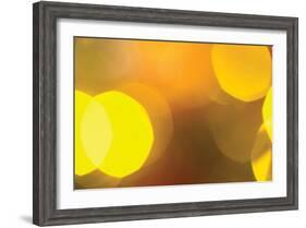 Yellow-Karyn Millet-Framed Photographic Print