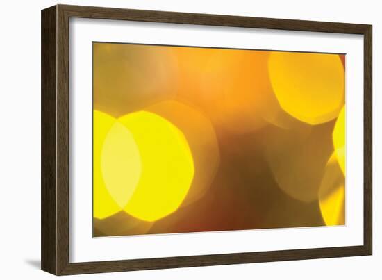 Yellow-Karyn Millet-Framed Photographic Print