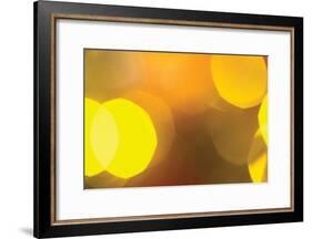 Yellow-Karyn Millet-Framed Photographic Print