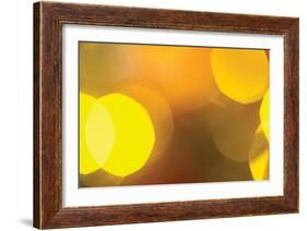 Yellow-Karyn Millet-Framed Photographic Print