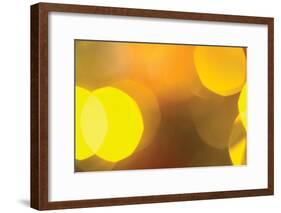 Yellow-Karyn Millet-Framed Photographic Print