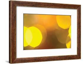 Yellow-Karyn Millet-Framed Photographic Print