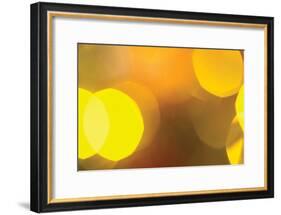 Yellow-Karyn Millet-Framed Photographic Print