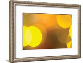 Yellow-Karyn Millet-Framed Photographic Print